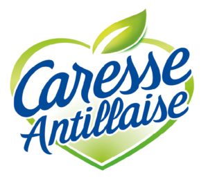 Plan de travail 1ICONE14